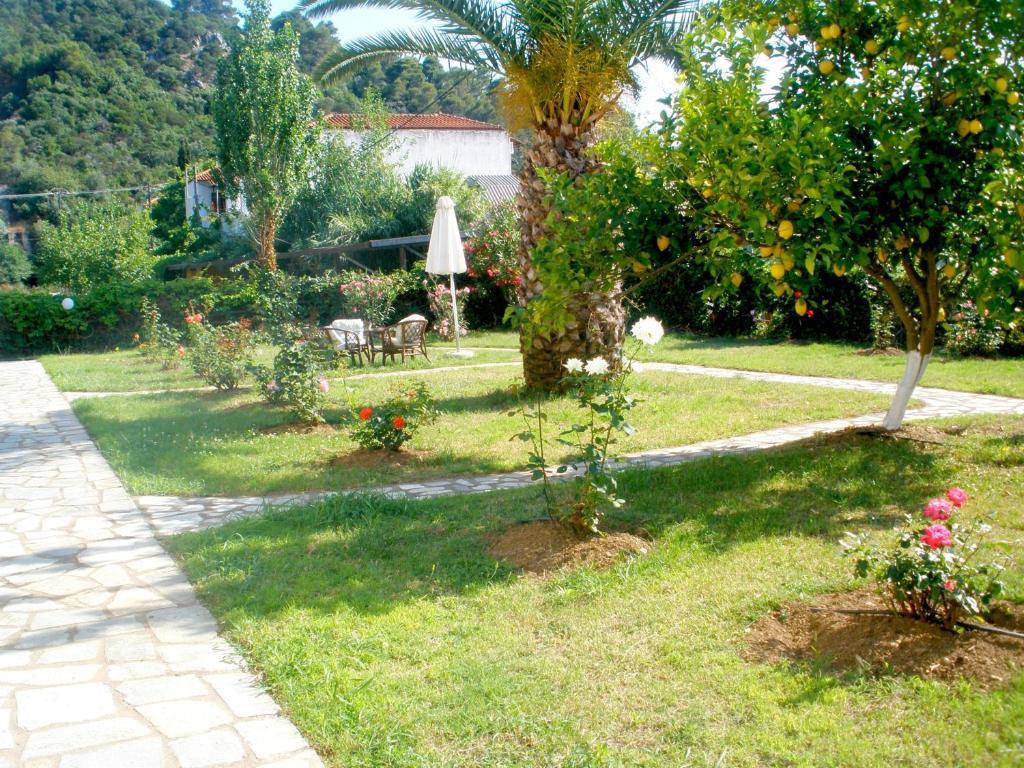Afroditi Panormos  Exterior foto