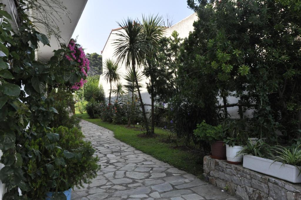 Afroditi Panormos  Exterior foto